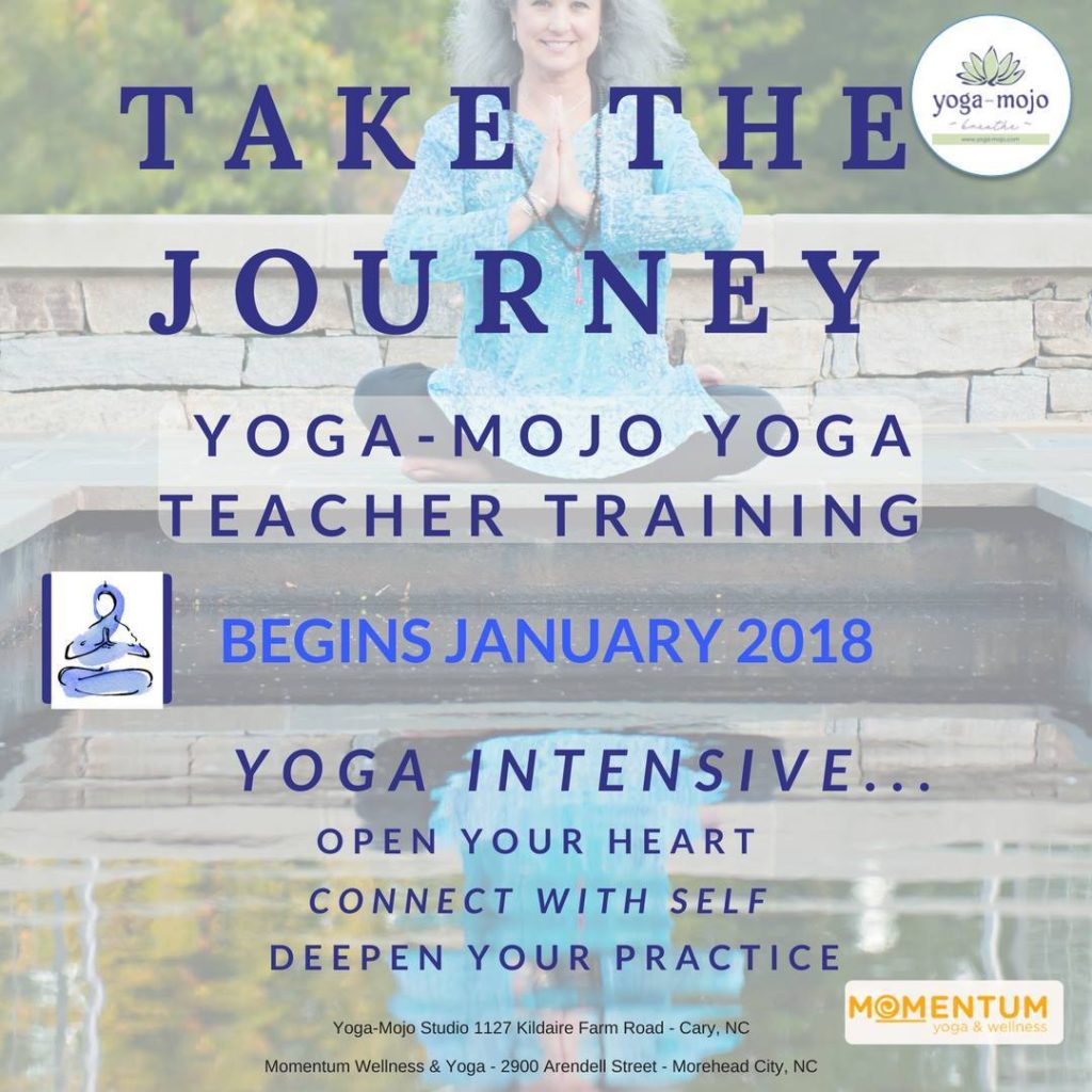 momentum yoga teacher training Yoga mojo